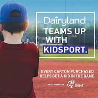 Dairyland Breuvage de lait à la fraise 1 % 1 litre