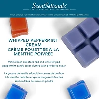 Cubes de cire parfumée Paquet économique ScentSationals - Crème fouettée à la menthe poivrée.
