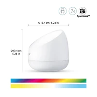 WiZ Lampe LED intelligente Squire équivalente à 60 watts, polychrome et blanc réglable, 2 200 K-6 500 K