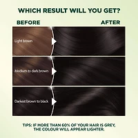 Garnier Nutrisse Ultra Crème, Permanent Hair Dye, Long-Lasting,1 unit