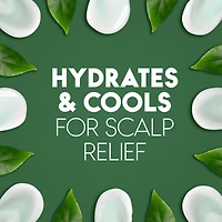 Shampooing Head & Shoulders Huile d’arbre à thé 370 ml