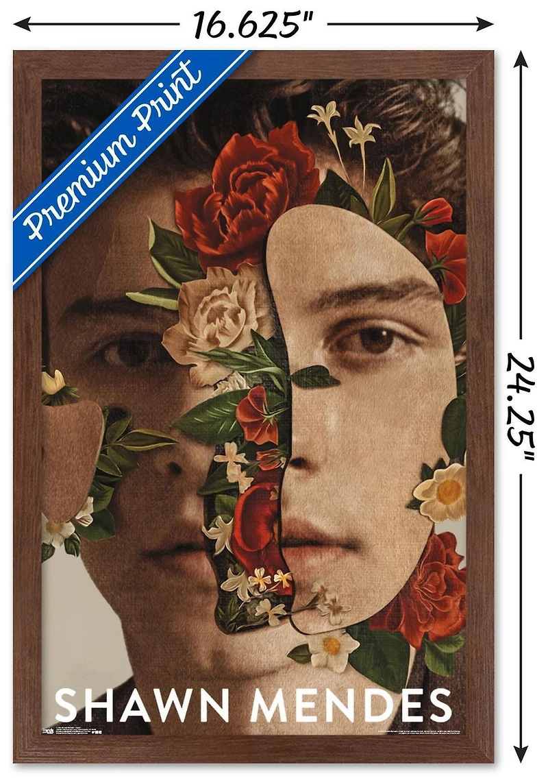 Shawn Mendes - Fleurs