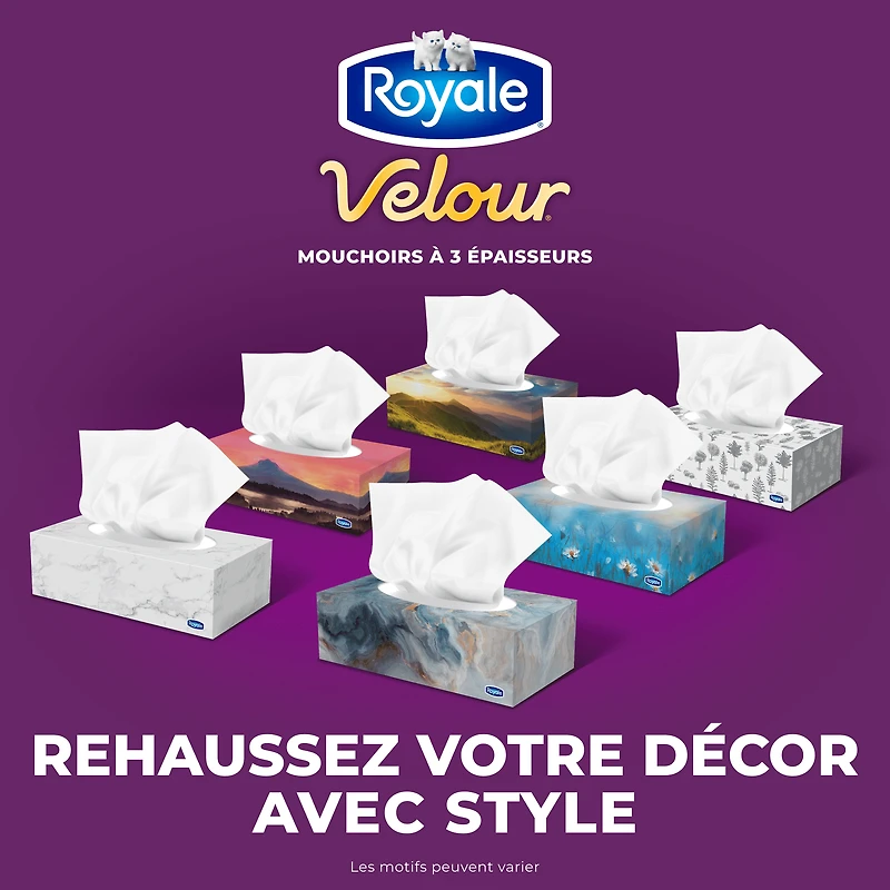 Mouchoirs Royale Velour, 12 boîtes, 82 mouchoirs par boîte