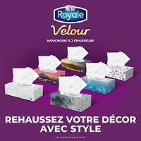 Mouchoirs Royale Velour, 12 boîtes, 82 mouchoirs par boîte