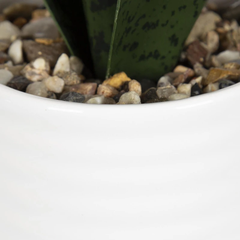 Faux sanseveria Coco dans un pot blanc 27,3cm H x 7,6cm L x 6,4cm P
