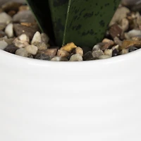 Faux sanseveria Coco dans un pot blanc 27,3cm H x 7,6cm L x 6,4cm P