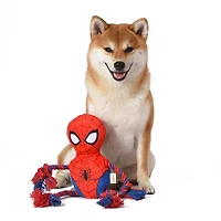 Jouet pour chien en corde en peluche avec couineur Spiderman