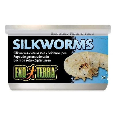 Exo Terra Nourriture Spécialisée pour Reptiles vers à Soie en Conserve, 34 G