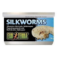 Exo Terra Nourriture Spécialisée pour Reptiles vers à Soie en Conserve, 34 G