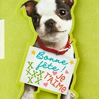 Hallmark Funny Birthday Card for Grandson (Puppy)