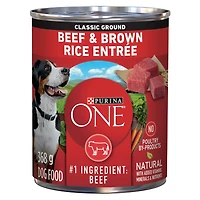Purina ONE SmartBlend Moulue Classique Entrée de Boeuf et Riz Brun, Nourriture Humide pour Chiens 368 g 368g