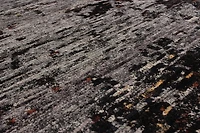 ECARPETGALLERY 5'5" x 7'9" Transitional Sari Silk Hand-knotted Area Rug for Living Room, Dining Room and Bedroom in Grey