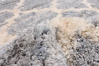ECARPET Trellis Frieze Area Rug Fluffy Carpet for Bedroom, Ultra Soft & Plush Annica Collection