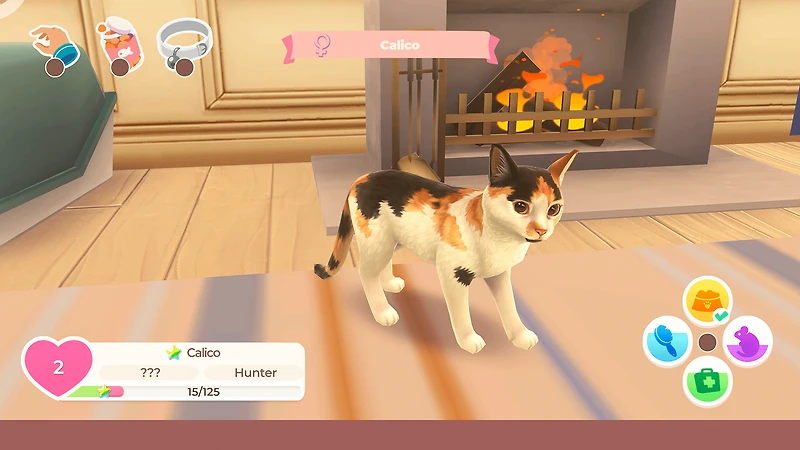 Cat Rescue Story, Nintendo Switch Video Game