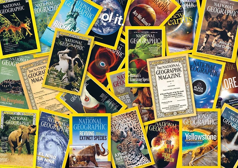 Buffalo Games - National Geographic - Magazines - 500 Piece Jigsaw Puzzle