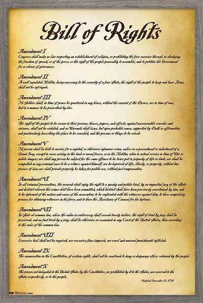 The United States of America - Bill of Rights Wall Poster, 22.375" x 34"