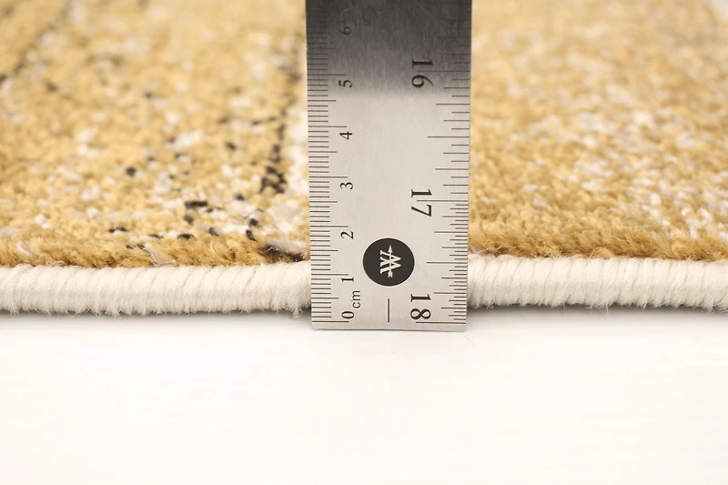 ECARPET Area Rug for Living Room, Bedroom, Soft & Plush Ayla Collection