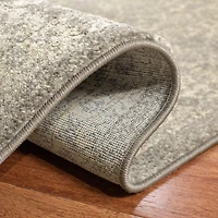 Safavieh Evoke Trena Traditional Area Rug