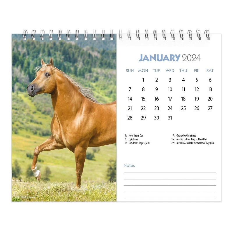 BrownTrout Horse Lovers 2024 7.5x6 Inch Double-View Easel Calendar, 9781975471132