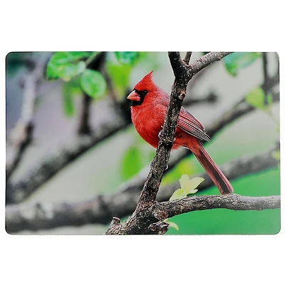 Placemat En Plastique Cardinal 12 X 18 - Ensemble De 12