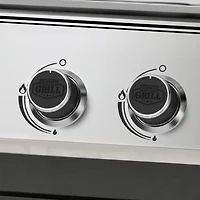 Expert Grill 5-Burner Propane Gas Grill with Side Burner