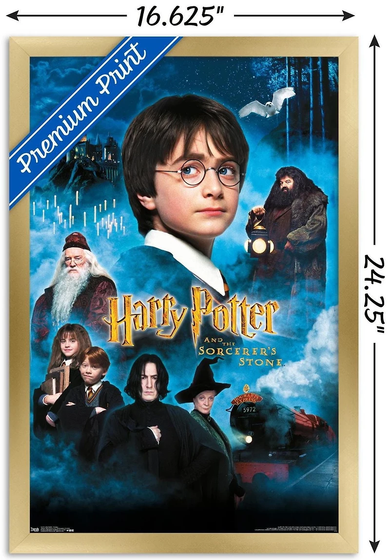 Harry Potter and the Sorcerer's Stone - Candles One Sheet Wall Poster