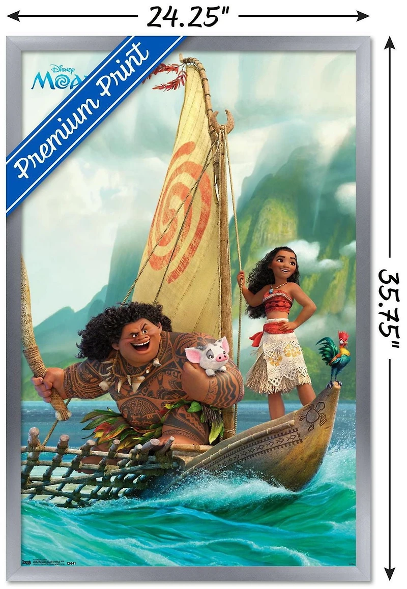 Disney Moana - Groupe