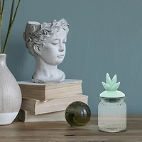 CACTUS GLASS JAR