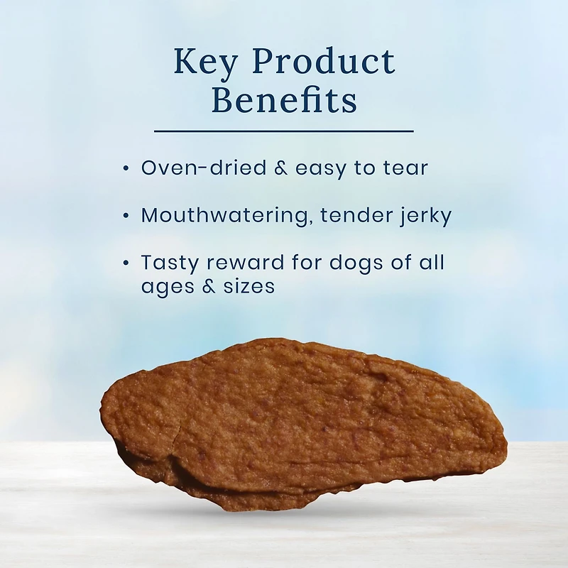 Blue Buffalo Nudges Jerky Cuts Natural Dog Treats, Chicken, 141g