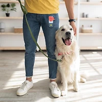 Perfect Solutions Light Up Poop Bag Dispenser