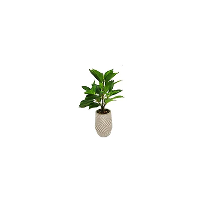 Lerman Decor's slim plant in zigzag pot