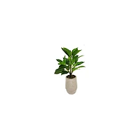 Lerman Decor's slim plant in zigzag pot