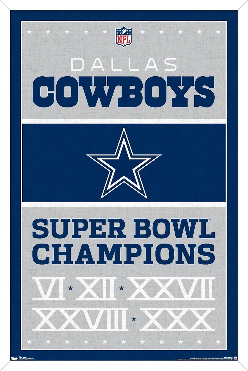 Cowboys de Dallas de la NFL - Champions 13