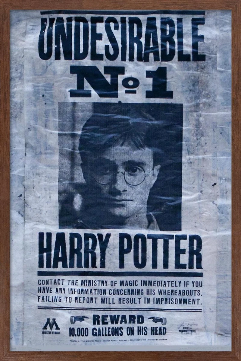 The Wizarding World: Harry Potter - Undesirable Wall Poster, 22.375" x 34"