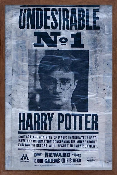 The Wizarding World: Harry Potter - Undesirable Wall Poster, 22.375" x 34"