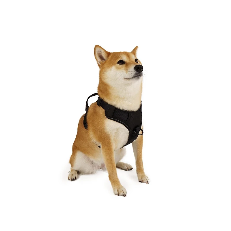 One Paw, Dog Harness with Bonded Mesh and Reflective Stitching, Multiple sizes colour, Paw