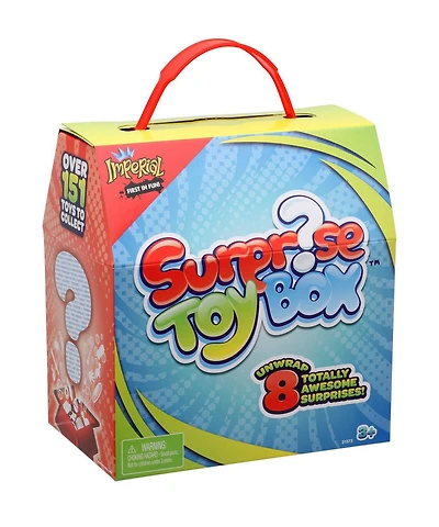 Surprise Toy Box Boy