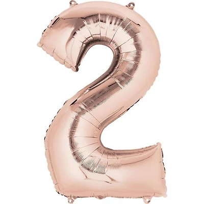 SUPERSHAPE 2 ROSEG - FRENCH