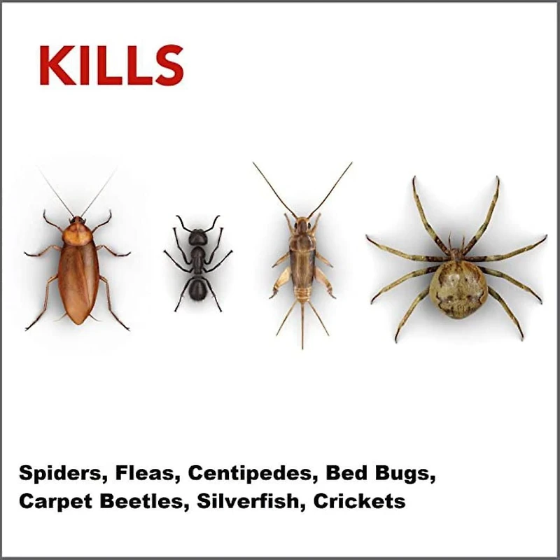 Insecticide Raid Max Exterminateur d’araignées, tue les insectes au contact, pour utilisation à l’intérieur et à l’extérieur, 500 g