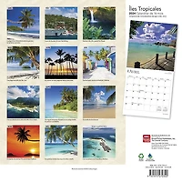 BrownTrout Îles Tropicales 2024 Mur Carré 30.48x60.96 CM, 9781975470340