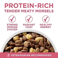Purina ONE SmartBlend Digestive Health Formula Chicken, Dry Dog Food, 5.4-9.5 kg