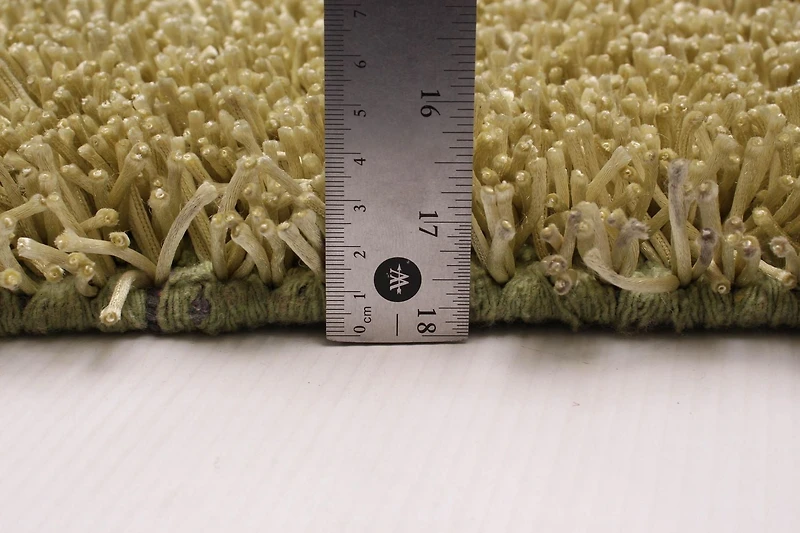 ECARPETGALLERY Metro Plush Light Green Shag 5'0" x 8'0"