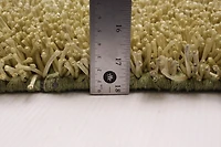 ECARPETGALLERY Metro Plush Light Green Shag 5'0" x 8'0"