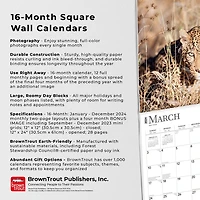 BrownTrout Africa 2024 12x24 Inch Square Wall Calendar, 9781975467357