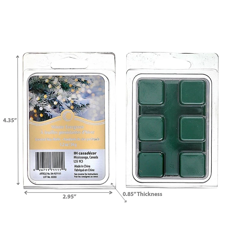 Noël 6Pk Cire Fond À Feuilles Persistantes D'Hiver - Ensemble De 4