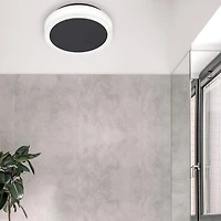 Application du mur d