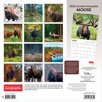 Moose 2026 Square Wyman
