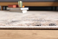 ECARPET Tapis Contemporain/Moderne Bronte pour Salon, Chambre, Salle A Manger, Entrée, Couloir et Plus Encore.