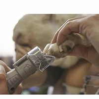 Dremel Rotary Tool 4.8V Pet Grooming Kit