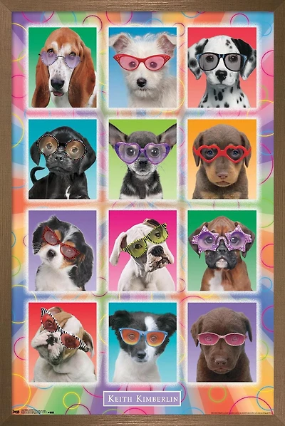 Keith Kimberlin - Chiots - Lunettes de soleil
